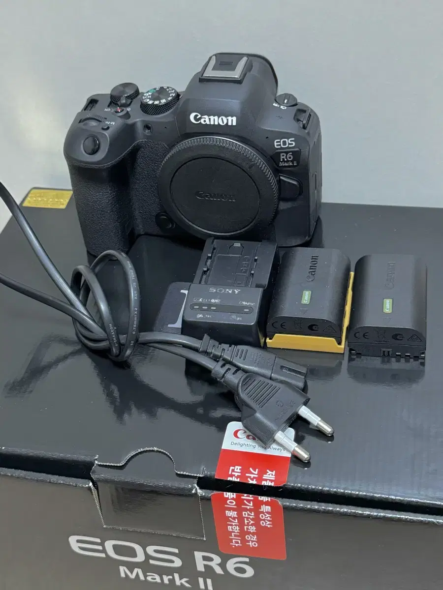 캐논 r6mark2 알육막투 canon